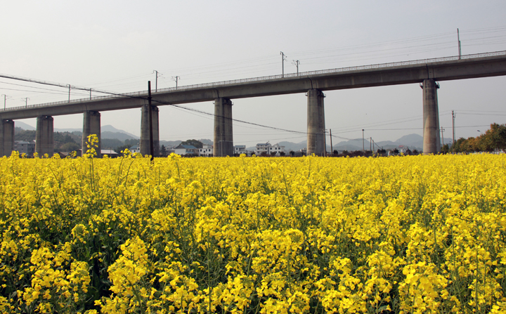 欧博abg手机版app