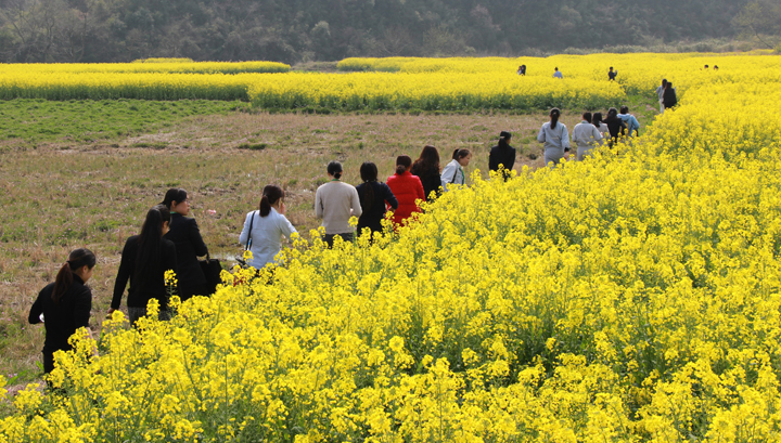 欧博abg手机版app