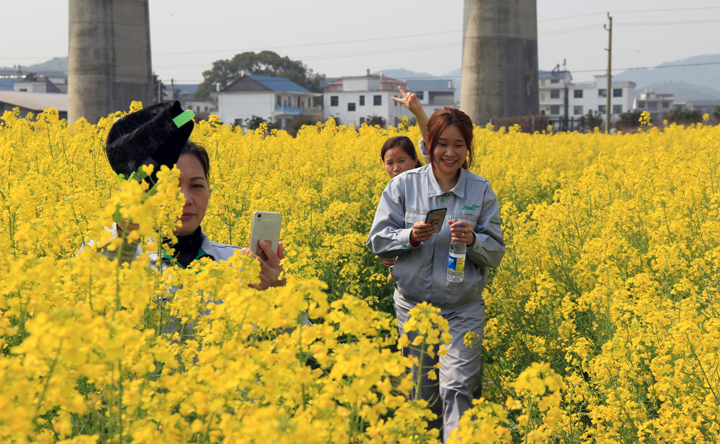 欧博abg手机版app