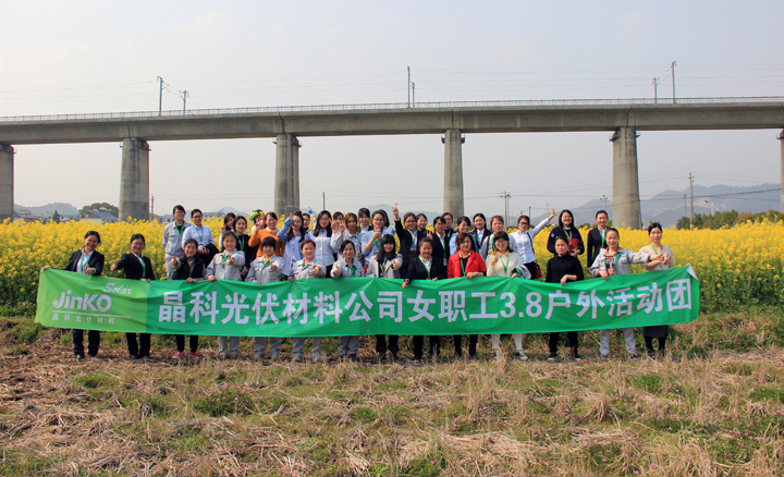 欧博abg手机版app