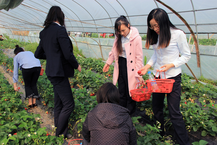 欧博abg手机版app