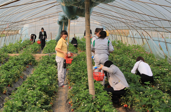 欧博abg手机版app