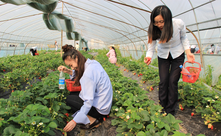 欧博abg手机版app