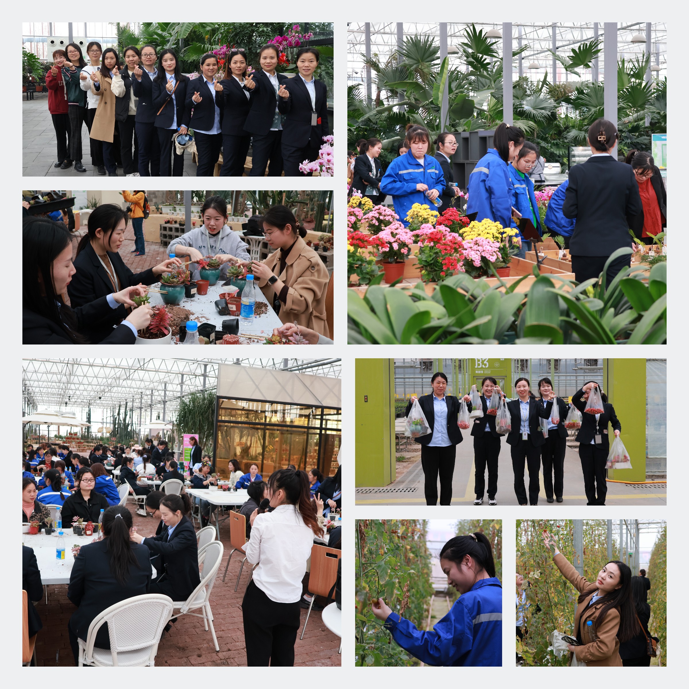 欧博abg手机版app